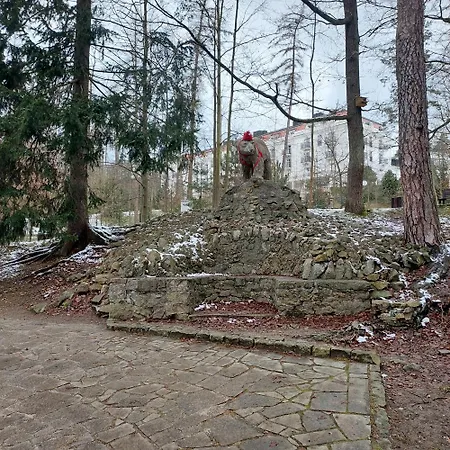 W Koronach Drzew * Polanica-Zdrój