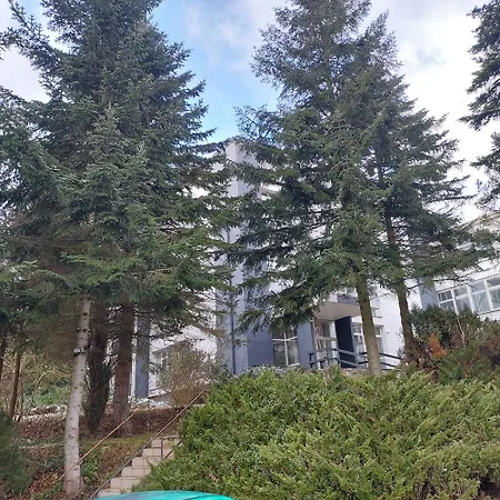 W Koronach Drzew Polanica-Zdrój