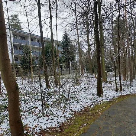 W Koronach Drzew Apartment Polanica-Zdroj