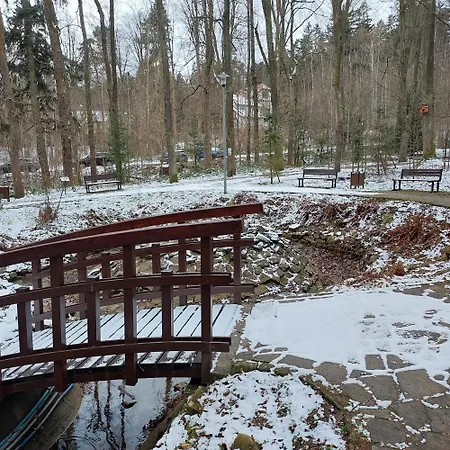 W Koronach Drzew Lägenhet *