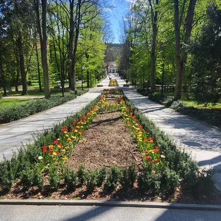 W Koronach Drzew Polanica-Zdrój