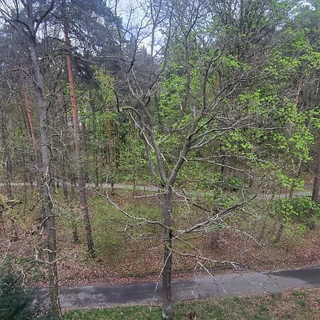 Appartement W Koronach Drzew *