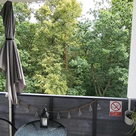 W Koronach Drzew * Polanica-Zdrój