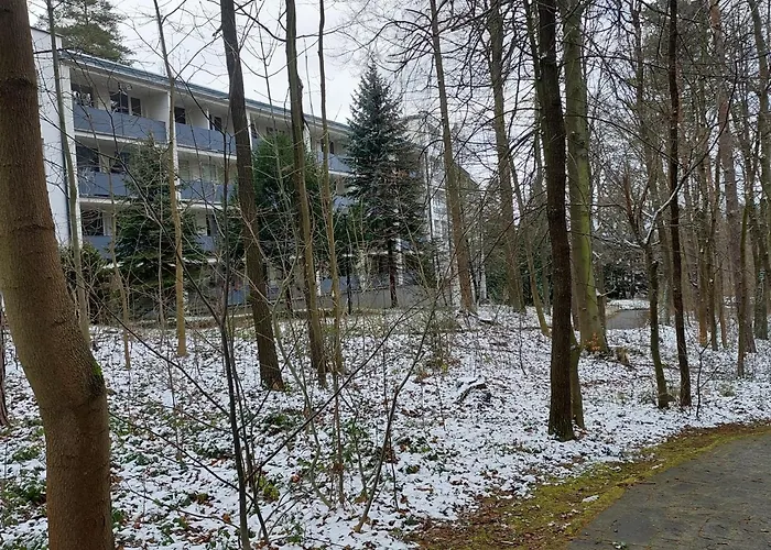 W Koronach Drzew Apartment Polanica-Zdroj