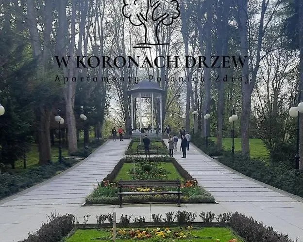 W Koronach Drzew