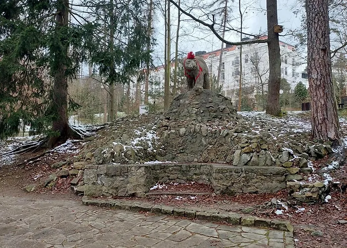 W Koronach Drzew * Polanica-Zdroj