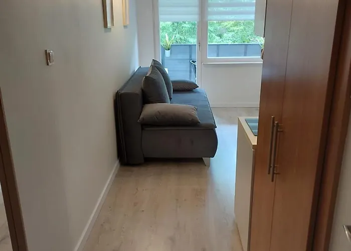 W Koronach Drzew Apartment