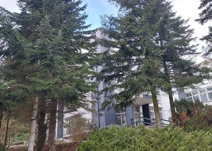 W Koronach Drzew Polanica-Zdroj