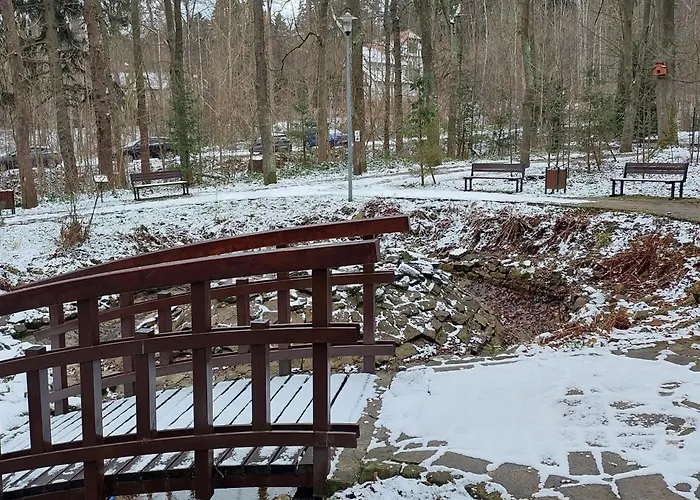 W Koronach Drzew Apartment *