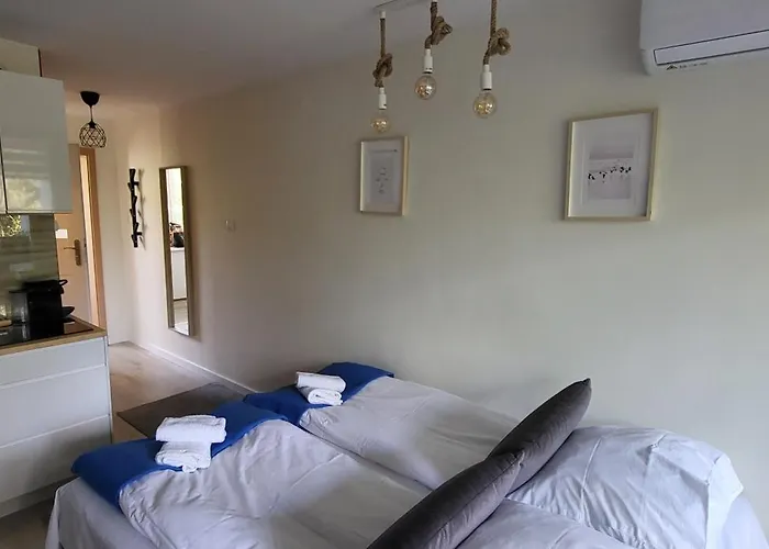 W Koronach Drzew Apartment *