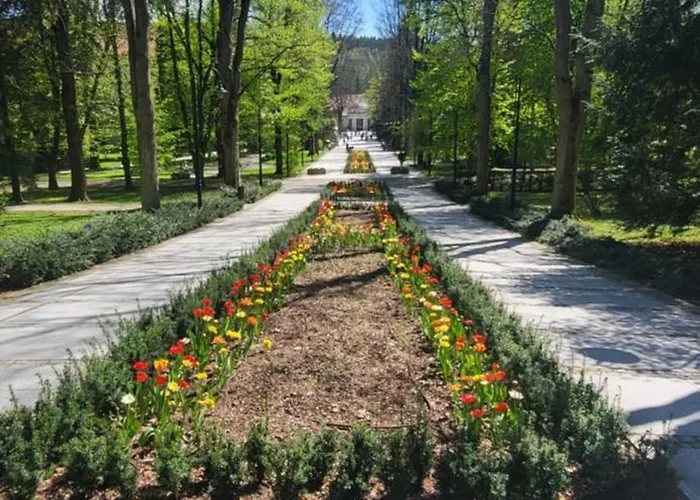 W Koronach Drzew Polanica-Zdroj