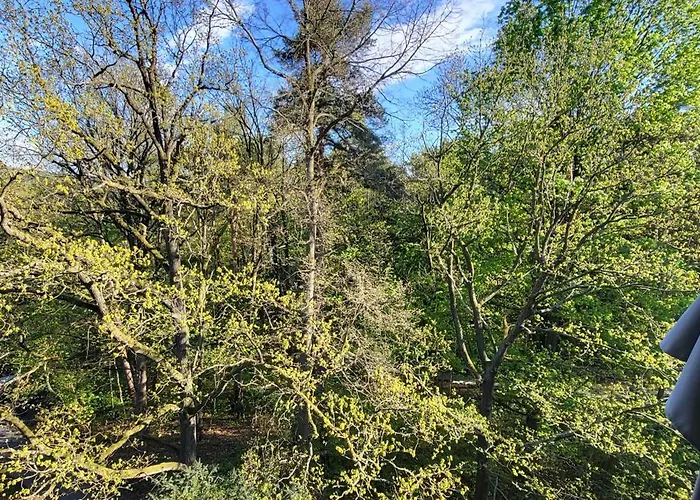 W Koronach Drzew Polanica-Zdroj