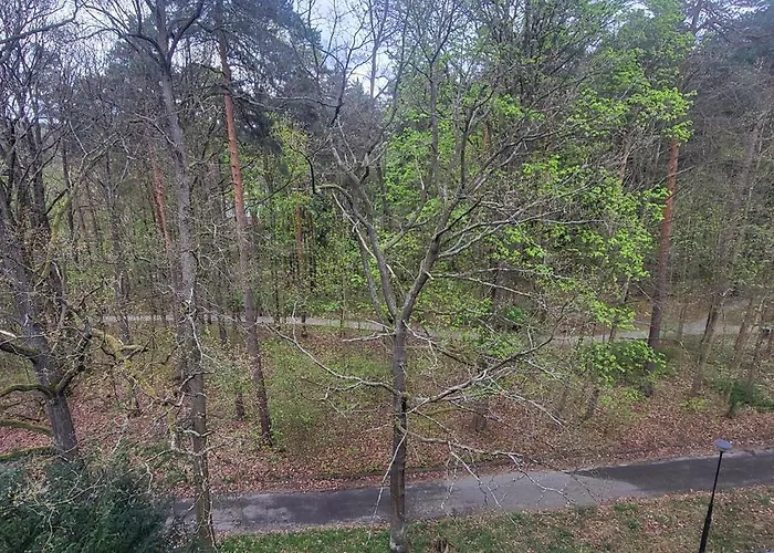 Apartment W Koronach Drzew *