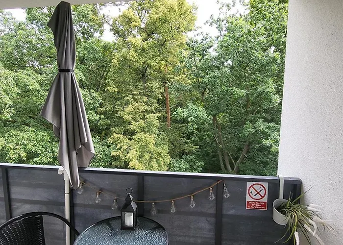 W Koronach Drzew * Polanica-Zdroj