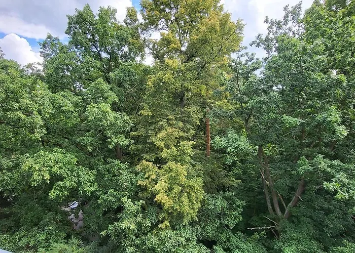 Apartment W Koronach Drzew