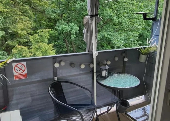 W Koronach Drzew Apartment *